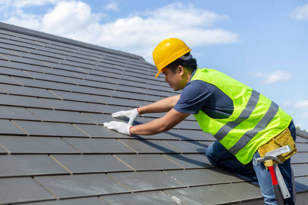 Best Storm Damage Roof Repair  in Lanark, IL