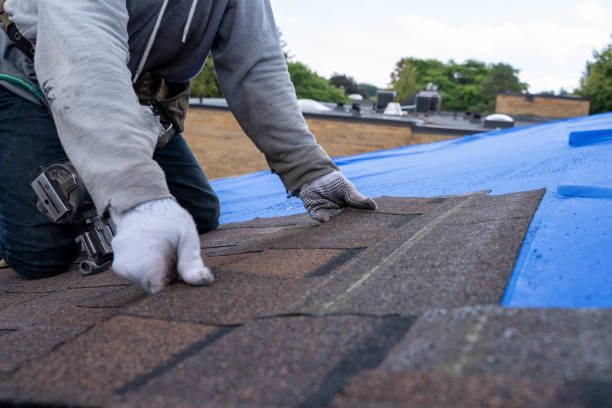 Best Flat Roof Repair Services  in Lanark, IL