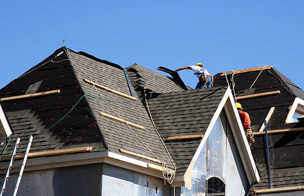Best Metal Roofing Contractor  in Lanark, IL