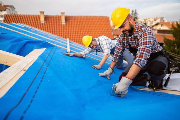 Best Flat Roof Repair Services  in Lanark, IL